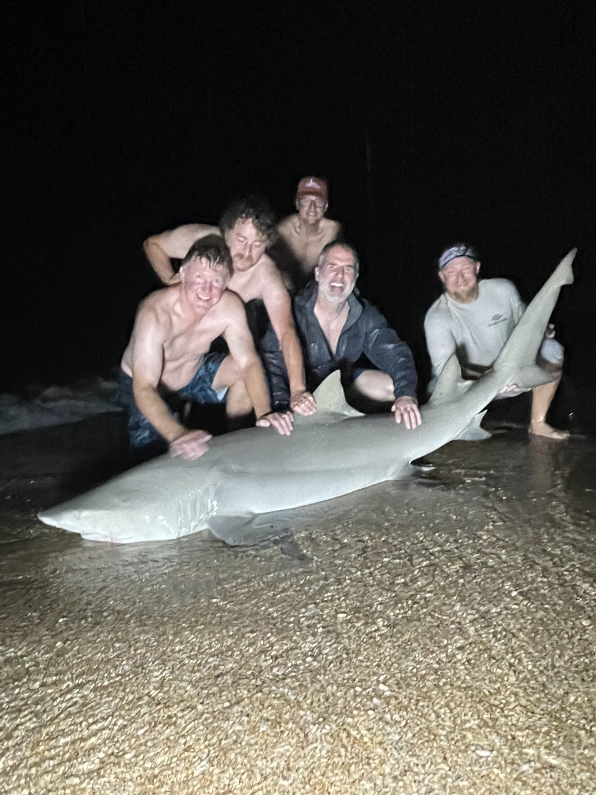 shark fishing